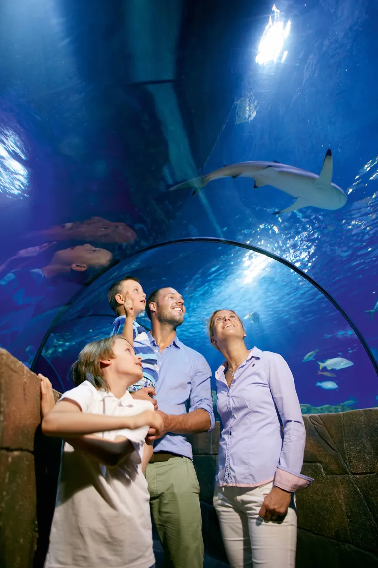 Sealife Oceanpanorama